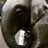 Goat Milk Face & Body Lotion, 2 oz